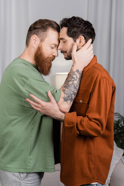 Side view of bearded same sex couple hugging in living room  - 写真・画像