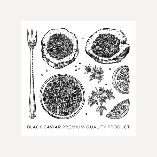 Hand-drawn caviar sketches set isolated on white background. Black caviar in opened tin can, caviar canape, lemons, spices vector drawings. Seafood delicacy illustrations for restaurant or finger food - Вектор, зображення