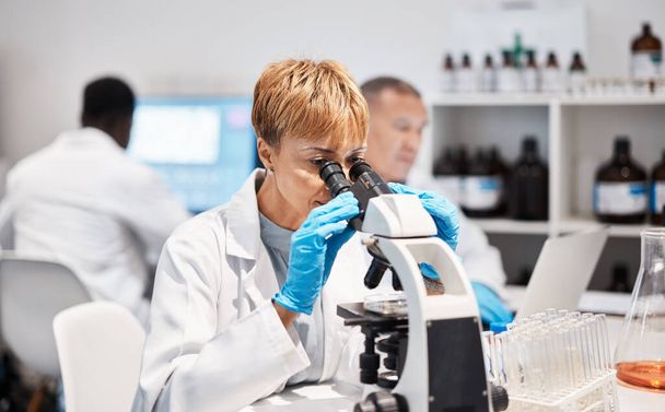 Research, microscope and science with black woman in laboratory for biotechnology, medical and pharmacy. Chemistry, dna and bacteria with expert technician for pathology, experiment and medicine. - Foto, imagen