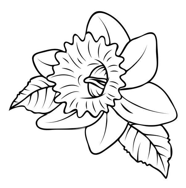 Design de forma de flor selvagem
 - Vetor, Imagem
