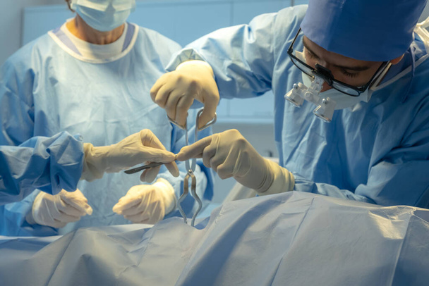 The medical team operated on the patient in the operating room of the hospital. - 写真・画像