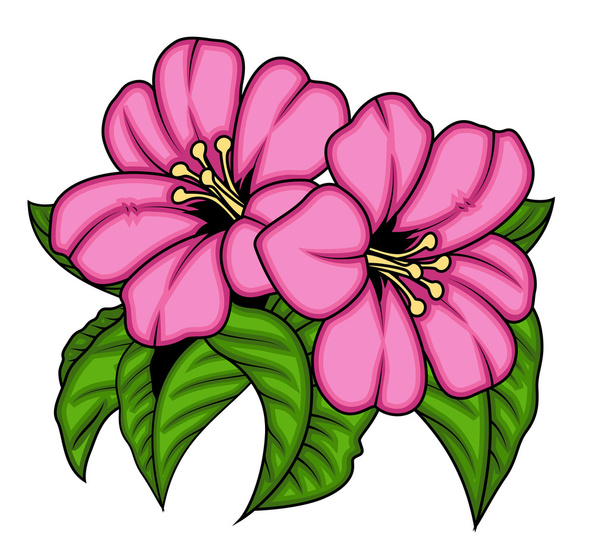 par de flores rosa
 - Vetor, Imagem
