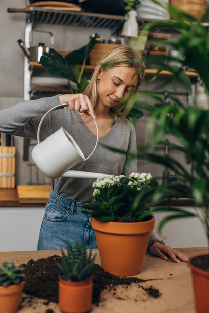Young Caucasian woman is watering plants in the flower shop - Valokuva, kuva