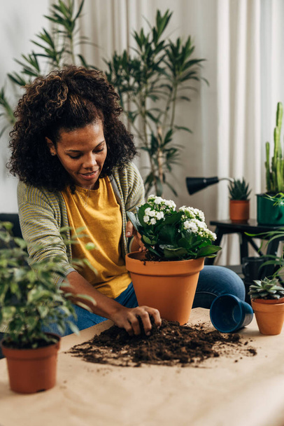Woman is filling a flowerpot with soil after placing the plant inside - Foto, Imagen