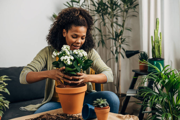 Mixed race woman is carefully placing a plant in the flowerpot - Fotó, kép