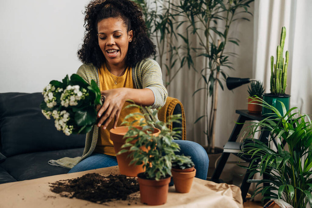 Een vrouw zit thuis en haalt een plant op voordat ze hem plant. - Foto, afbeelding