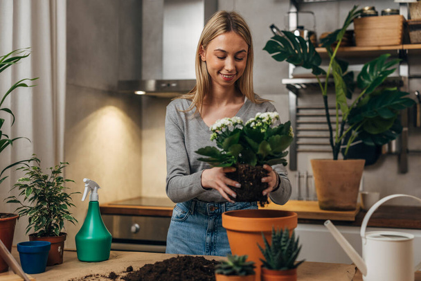 Young female florist is planting plants in flowerpots - Photo, Image