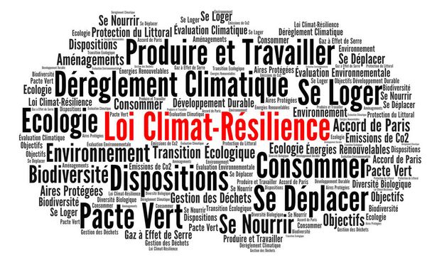 Climate and resilience law word cloud in French language - Photo, Image