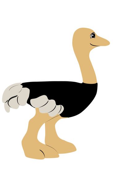 dibujos animados avestruz
 - Vector, imagen