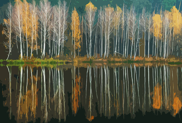 Paisaje con abedul y lago. Gráficos vectoriales sobre temas de otoño - Vector, imagen