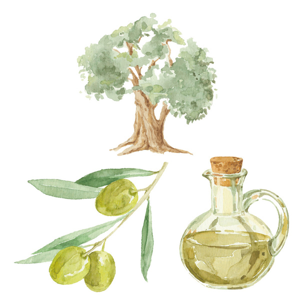 Olive branch, tree  and bottle - Vetor, Imagem