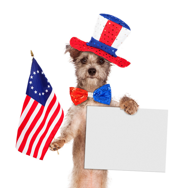 犬の身に着けている独立記念日の帽子 - 写真・画像