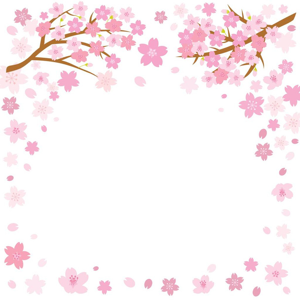 Cherry Blossom jousi tausta tilaa tekstiä. Vektoriesimerkki. - Vektori, kuva