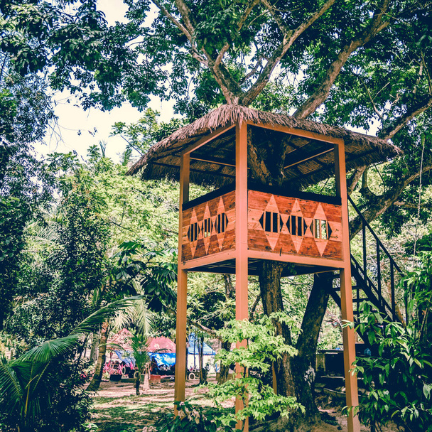 wooden hut in forest, travel concept - Foto, Bild
