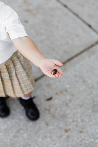 top view of cropped toddler girl in skirt holding acorn and standing on street  - Zdjęcie, obraz