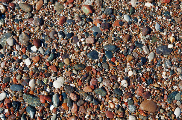 Pebbles texture closeup background. - Photo, Image