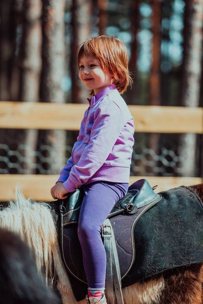 Little happy girl having fun in the park while riding small horses. - 写真・画像