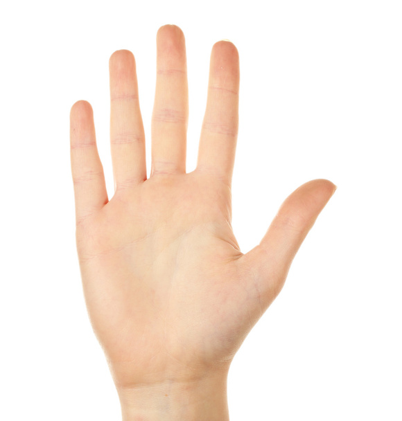 Female hand gesture isolated on white - Foto, Bild
