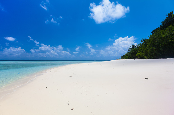 Mooie tropische wit zand strand en kristal helder water. Sipadan eiland, Borneo, Maleisië. - Foto, afbeelding