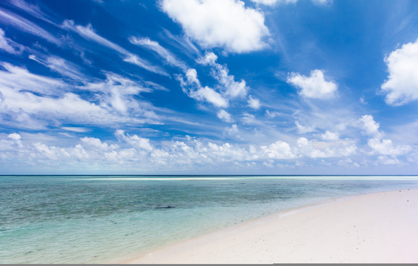 Bella spiaggia tropicale di sabbia bianca e acqua cristallina. Isola di Sipadan, Borneo, Malesia
. - Foto, immagini