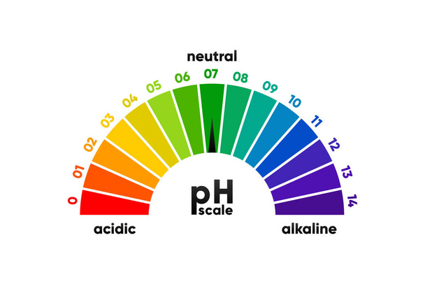 PH scale meter for acidic and alkaline solutions. Acid-base balance scale. Chemical test. Vector illustration - Vetor, Imagem