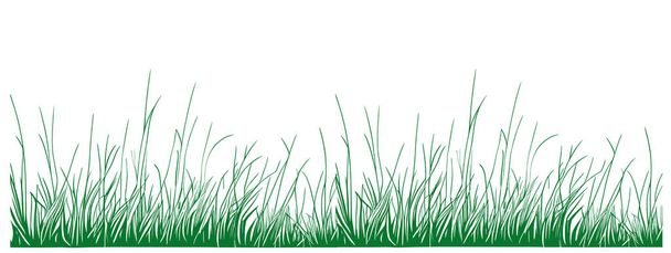 Campo de hierba bosquejo dibujado a mano en estilo garabato ilustración - Vector, imagen