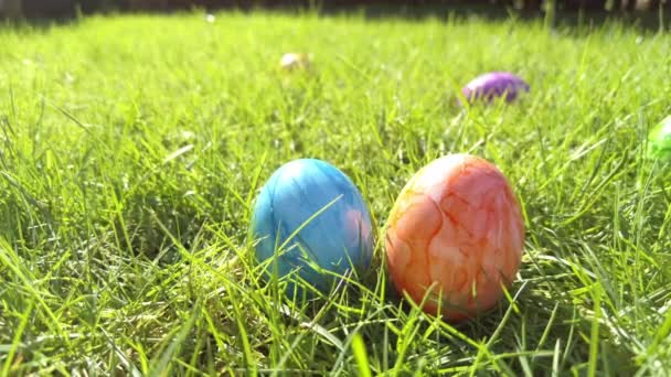 緑の芝生の中に隠されたイースターエッグイースターエッグハントゲーム子供たちは芝生の中で卵を集めて手。子供のための伝統的な春のゲーム屋外活動。ハッピーイースターのコンセプトカラフルな塗装イースターエッグ、日当たりの良い休日のコンセプト - 映像、動画