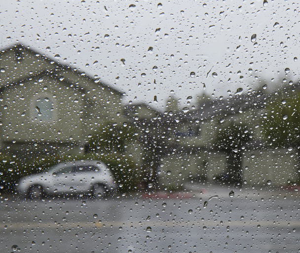 Rainy day. - Photo, Image