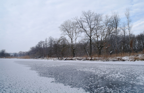 Invierno del río
 - Foto, imagen