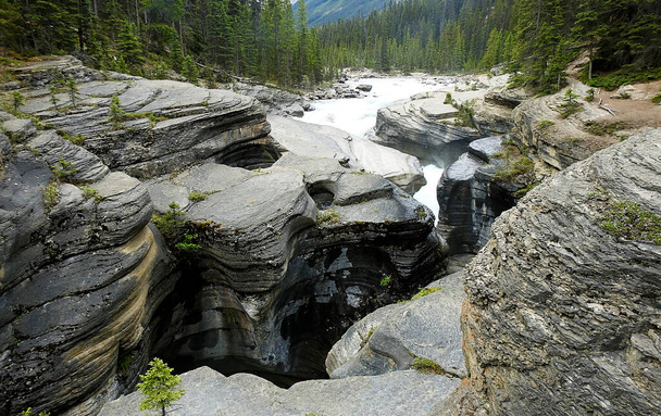 River inlet into Mistaya Canyon in Banff National Park - Canada - Foto, afbeelding