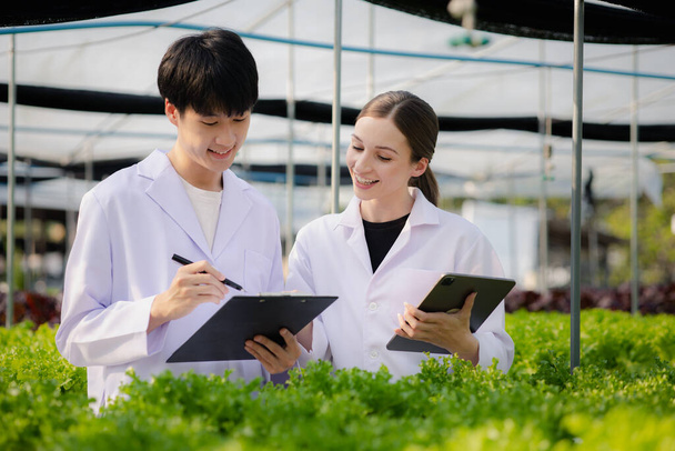 Researchers in hydroponic vegetable gardens are collecting samples to test vegetables grown from research water and examining the water used for growing hydroponic vegetables on the farm. - Foto, Imagem