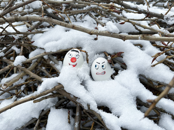 Funny eggs. Faces on eggs. Eggs in a winter scenery - Photo, Image