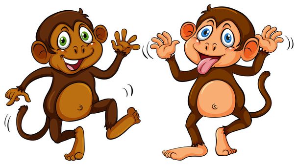 dvě opice - Vektor, obrázek