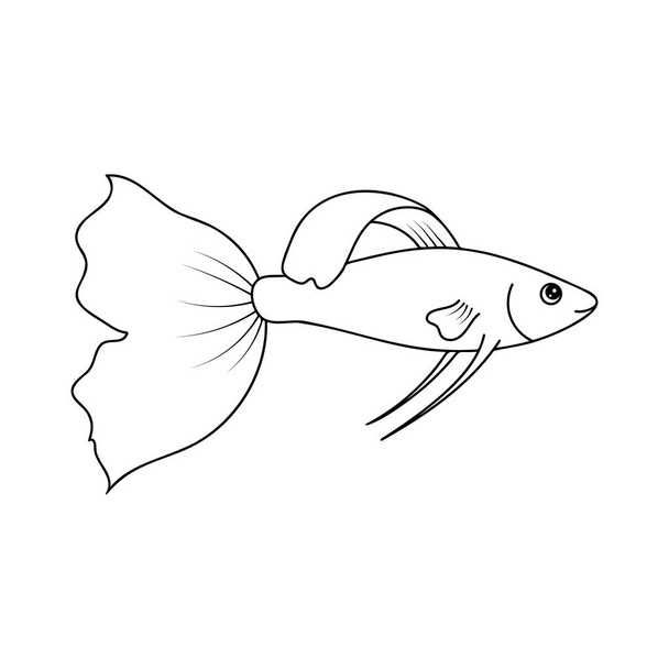 Outline Guppy isolated on a white background. Vector image of an angel fish - Vector, Imagen