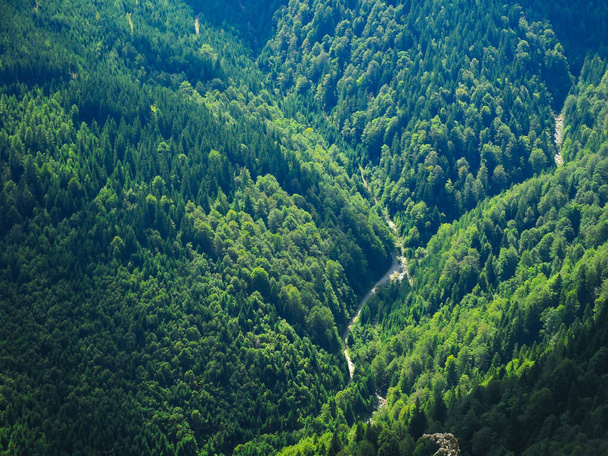 Aerial drone view of a watercourse winding through wild mixed beech and coniferous forests. The clouds cast their shadow over the wilderness. Capatanii mountains, Carpathia, Romania. - Fotoğraf, Görsel