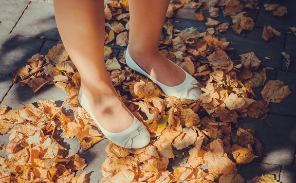 葉で女性の足 - 写真・画像