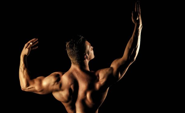Bodybuilder man with muscular torso back and hands. Banner templates with muscular man, muscular torso, back muscle - Foto, Bild
