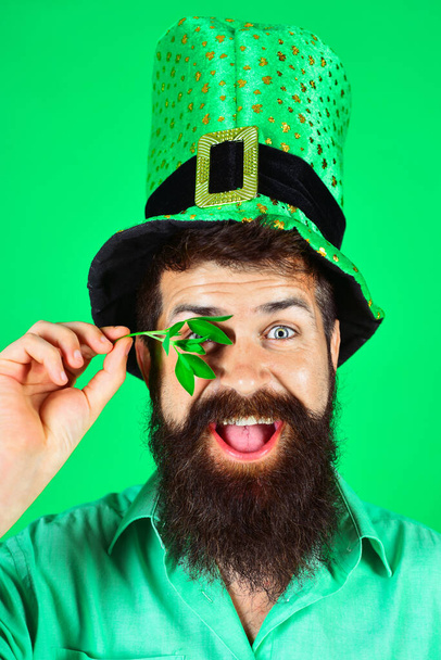 Saint Patricks Day celebration. Four leafed clover. Patricks Day green shamrock. Happy man in green top hat on Patrick Day. Irish traditions. Bearded leprechaun with shamrock. Patrick day party - 写真・画像