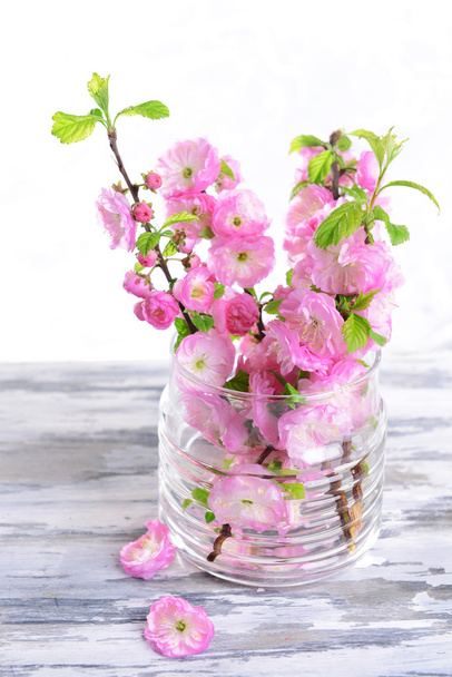 Beautiful fruit blossom in jar on table on light background - Photo, image