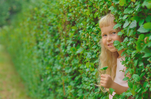 dziewczyna ukrywa się w zielonych krzewów - Zdjęcie, obraz