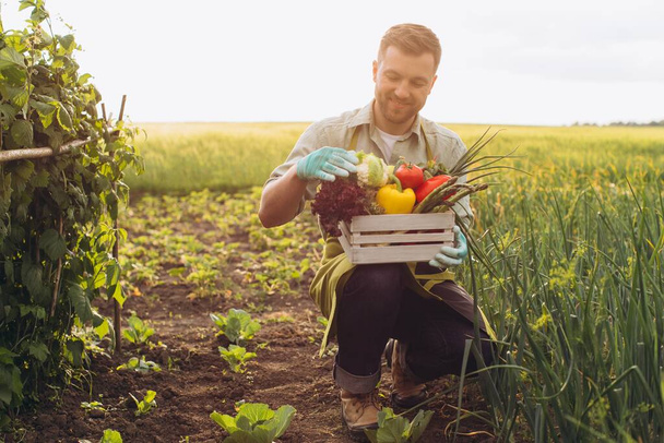 Щасливий фермер тримає кошик зі свіжими овочами в саду, концепція садівництва
 - Фото, зображення