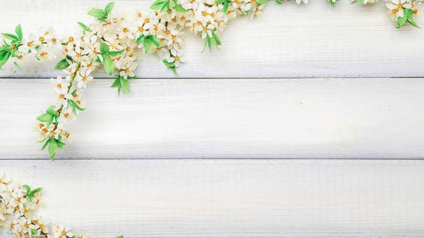 Cherry tree blossom. April floral nature and spring sakura blossom on wooden background. Banner for 8 march, Happy Easter with place for text. Springtime concept. Top view. Flat lay - Valokuva, kuva