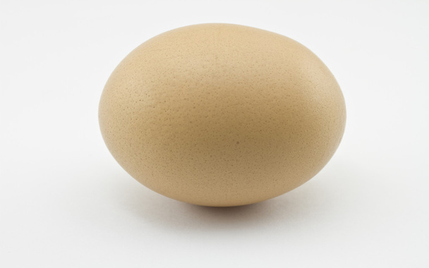 鶏の卵 - 写真・画像