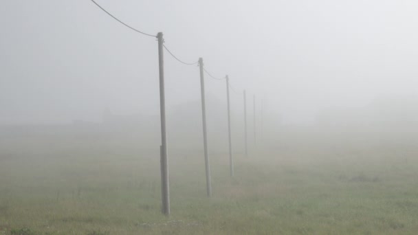 Thick fog landscapes near Reykjavik Iceland - Materiaali, video