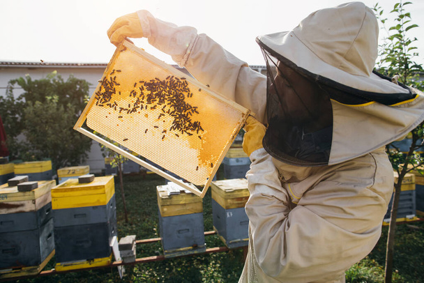 Arıcı elinde arılarla bir bal hücresi tutuyor. Apiculture. Apiary. Bal tarağı üzerinde çalışan arılar. Ballı bal peteği ve arılar yakın plan. - Fotoğraf, Görsel