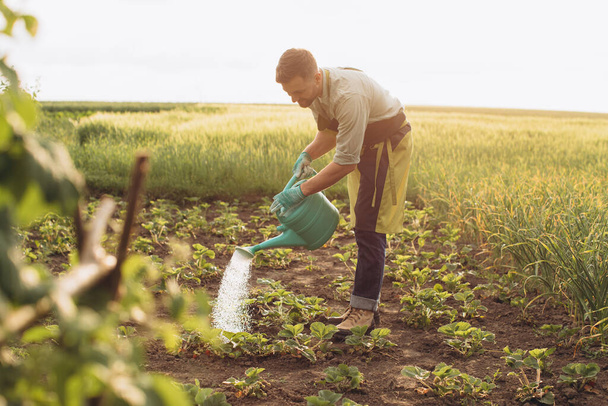 Счастливый фермер поливает кровати и работает в саду - Фото, изображение