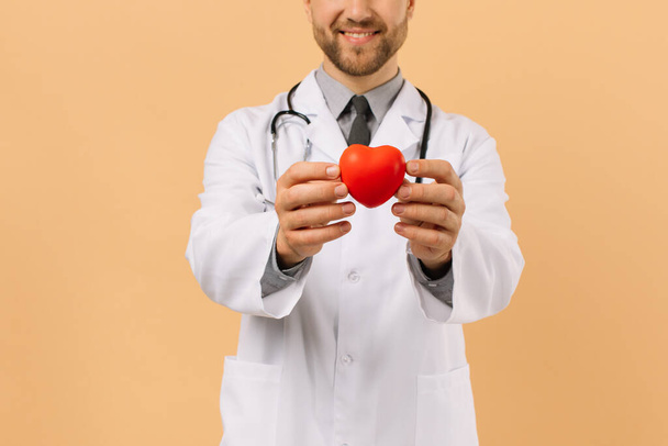 The male cardiologist doctor holding heart on beige background - Фото, изображение