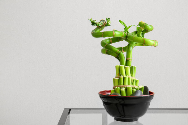 Pot bambusz növény az asztalon közelében szürke fal - Fotó, kép
