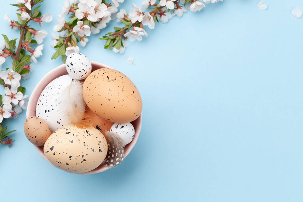 Velikonoční vajíčka v hnízdě a třešňové květy nad modří. Jarní přání s kopírovacím prostorem. Horní pohled rovný - Fotografie, Obrázek