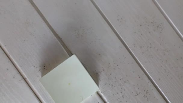 Moving shot from mold on ceiling in the bathroom, Condensation on walls, ceilings. Footage of bathroom with high humidity, moisture, or water damage. Toxic black mold and fungus. close up 4k - Séquence, vidéo